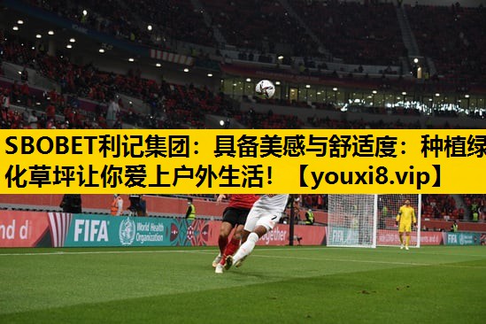 SBOBET利记集团：具备美感与舒适度：种植绿化草坪让你爱上户外生活！