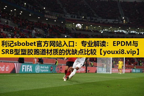利记sbobet官方网站入口：专业解读：EPDM与SRB型塑胶跑道材质的优缺点比较