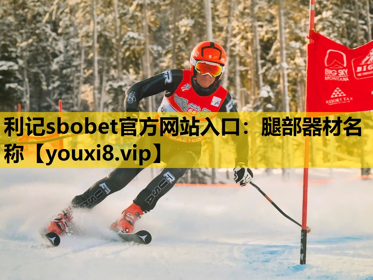 利记sbobet官方网站入口：腿部器材名称