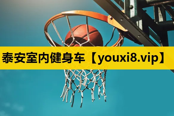 泰安室内健身车