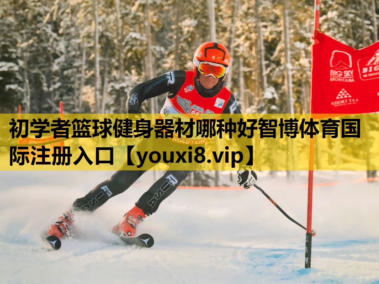 初学者篮球健身器材哪种好智博体育国际注册入口