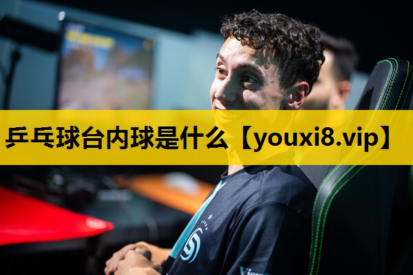 乒乓球台内球是什么