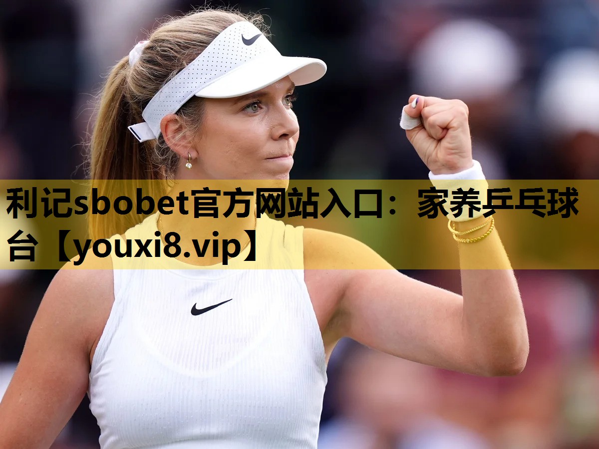 利记sbobet官方网站入口：家养乒乓球台