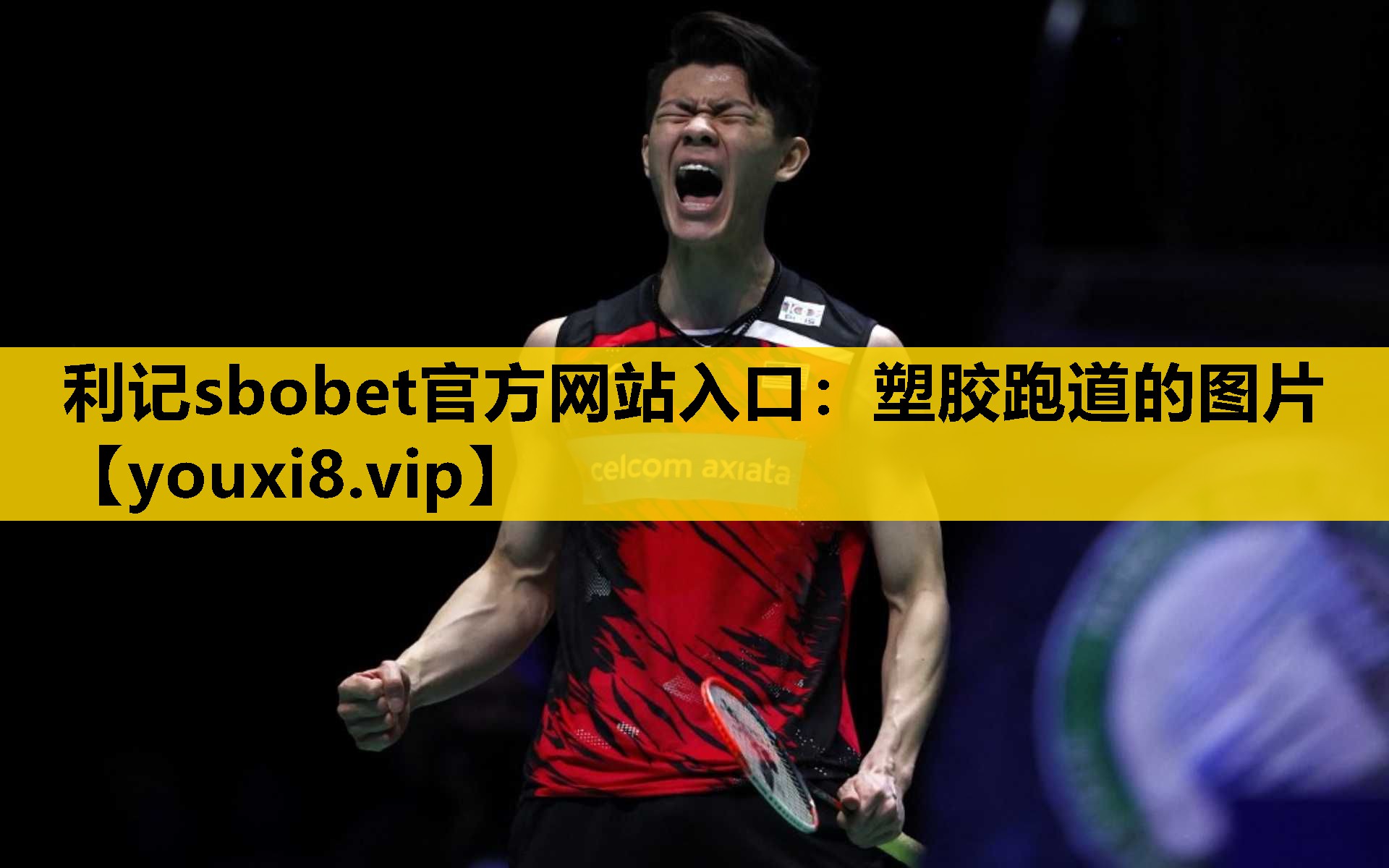 利记sbobet官方网站入口：塑胶跑道的图片