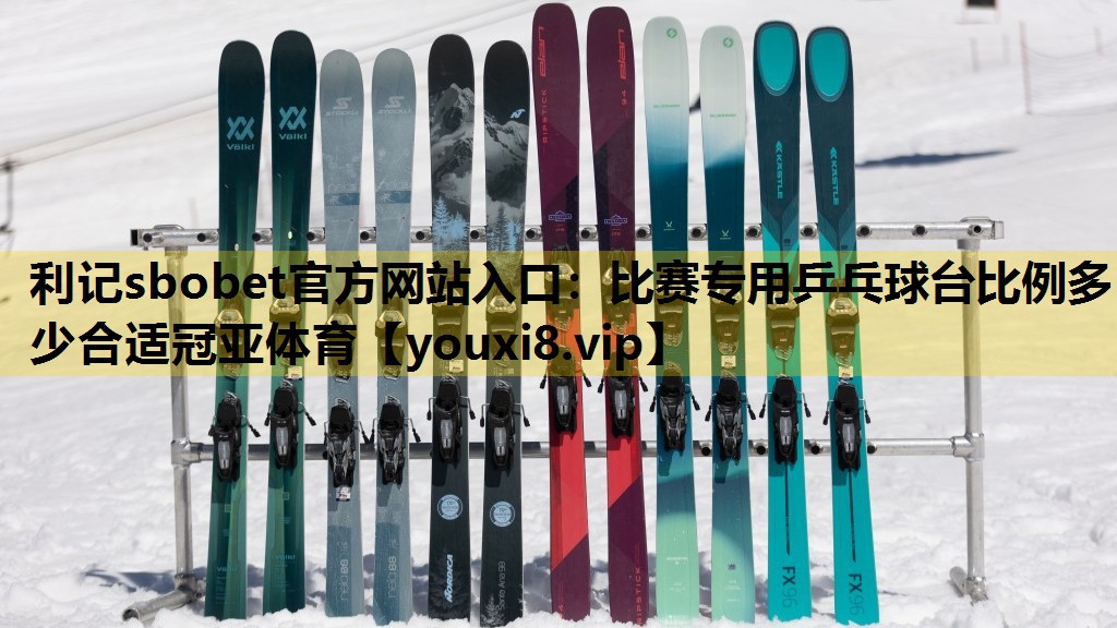 利记sbobet官方网站入口：比赛专用乒乓球台比例多少合适冠亚体育