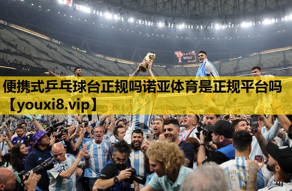 便携式乒乓球台正规吗诺亚体育是正规平台吗