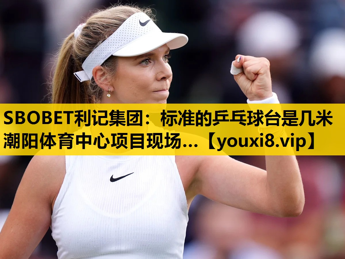 SBOBET利记集团：标准的乒乓球台是几米潮阳体育中心项目现场…
