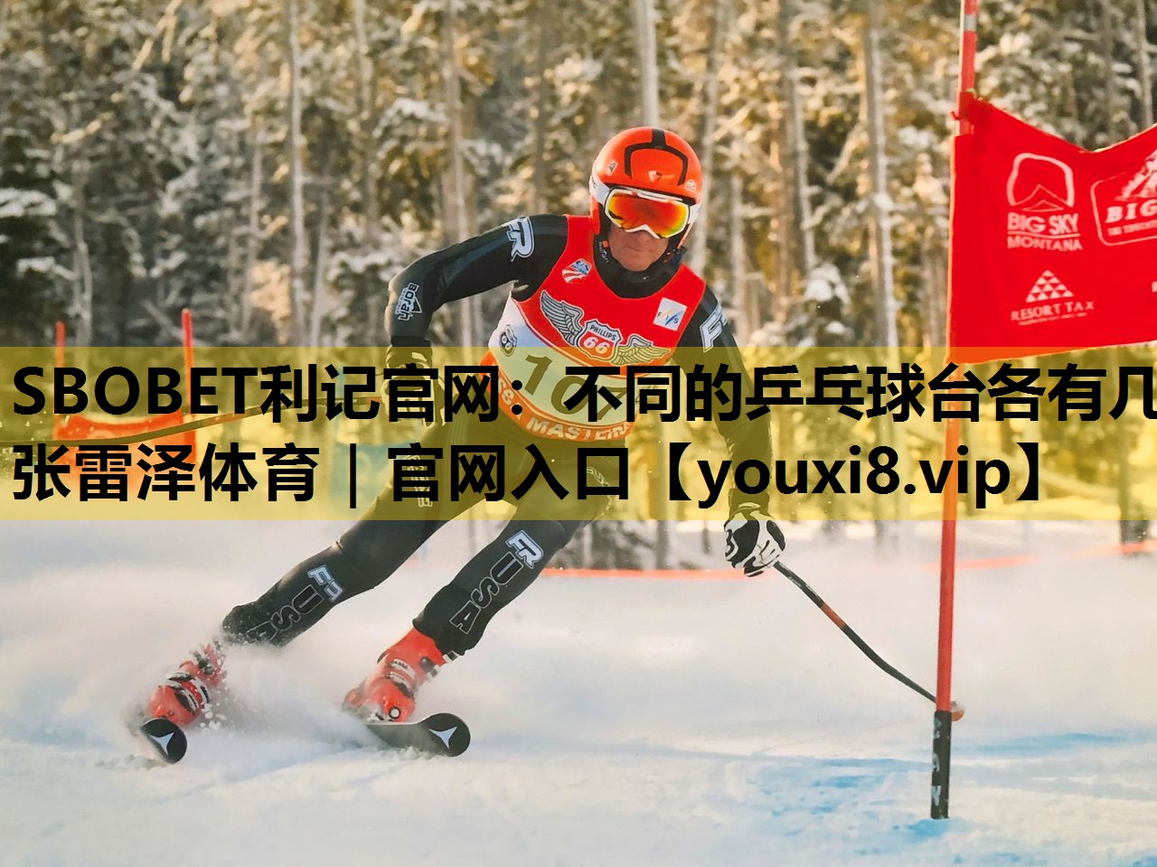 SBOBET利记官网：不同的乒乓球台各有几张雷泽体育｜官网入口