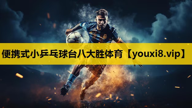 便携式小乒乓球台八大胜体育