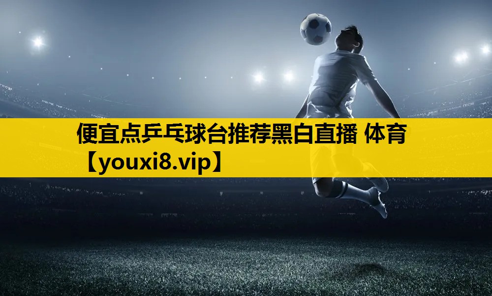 便宜点乒乓球台推荐黑白直播 体育