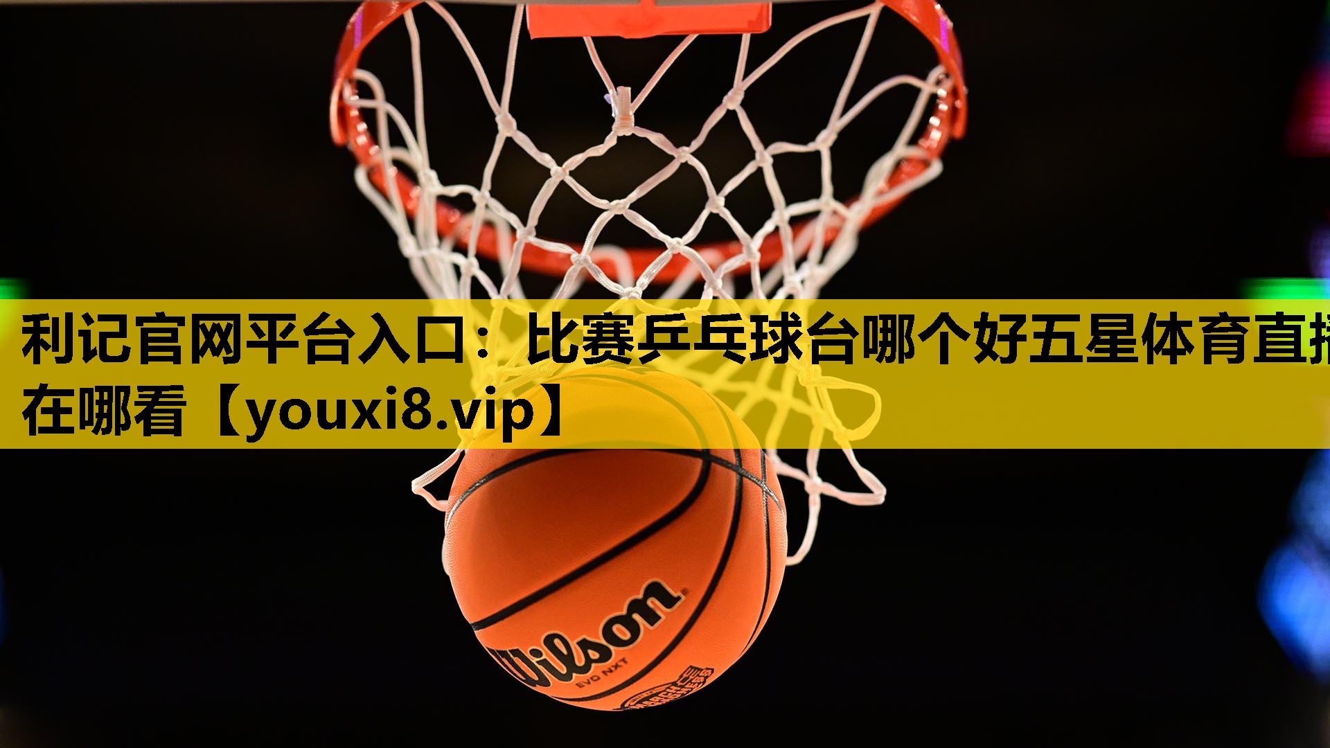 利记官网平台入口：比赛乒乓球台哪个好五星体育直播在哪看
