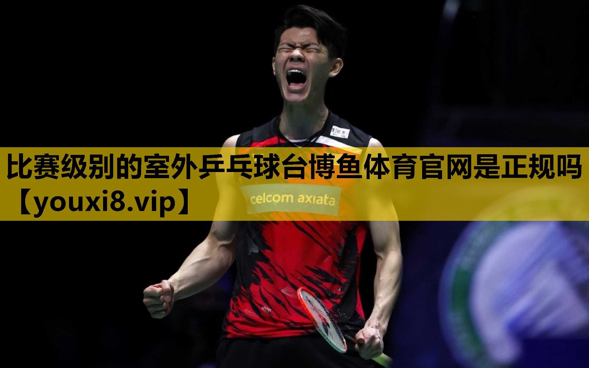 比赛级别的室外乒乓球台博鱼体育官网是正规吗