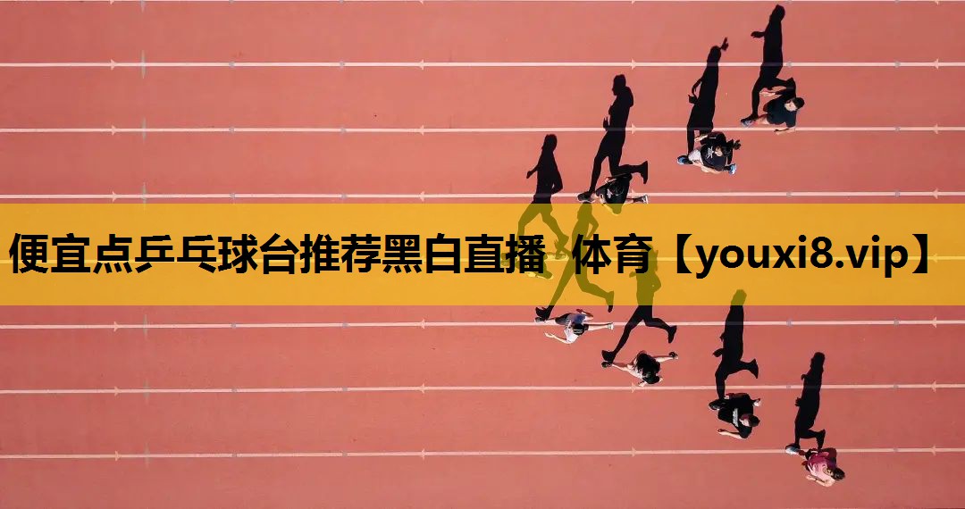 便宜点乒乓球台推荐黑白直播 体育
