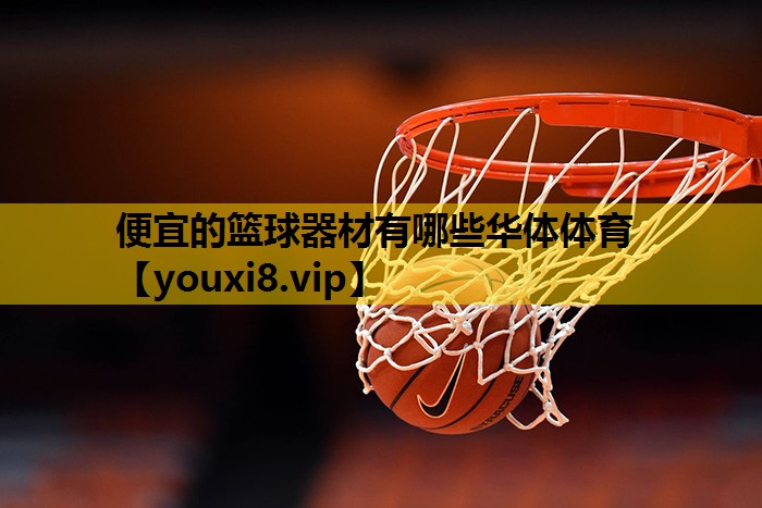 便宜的篮球器材有哪些华体体育