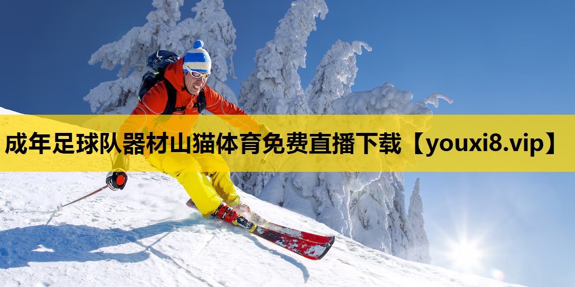 成年足球队器材山猫体育免费直播下载