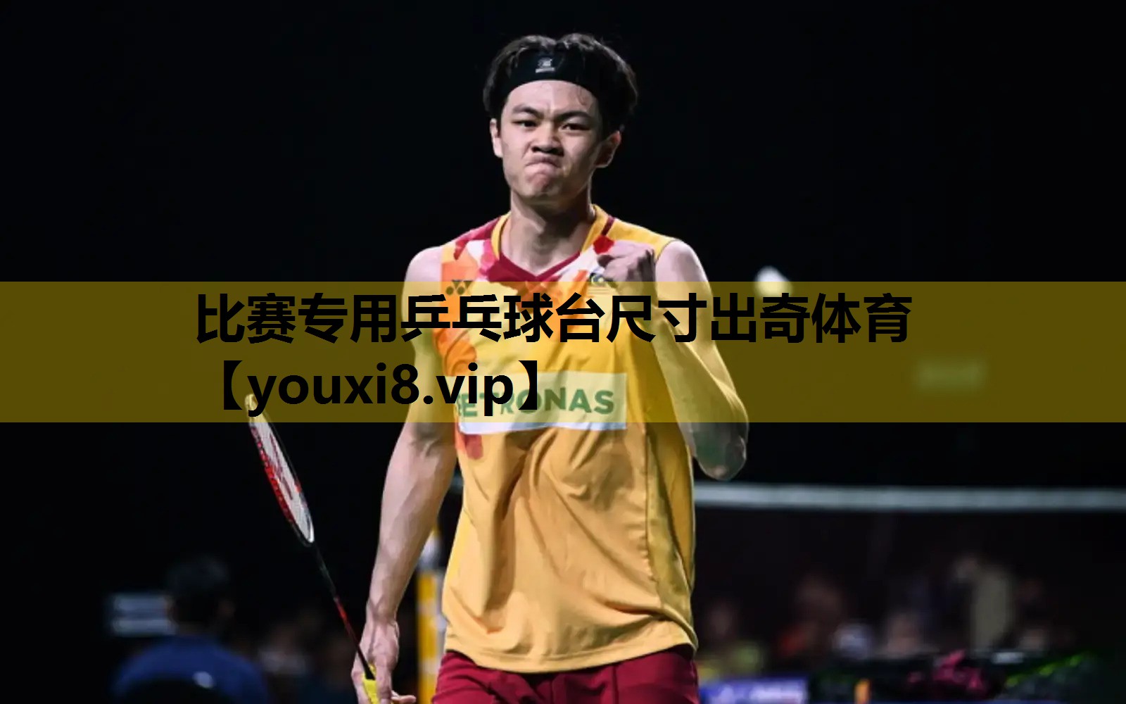 比赛专用乒乓球台尺寸出奇体育