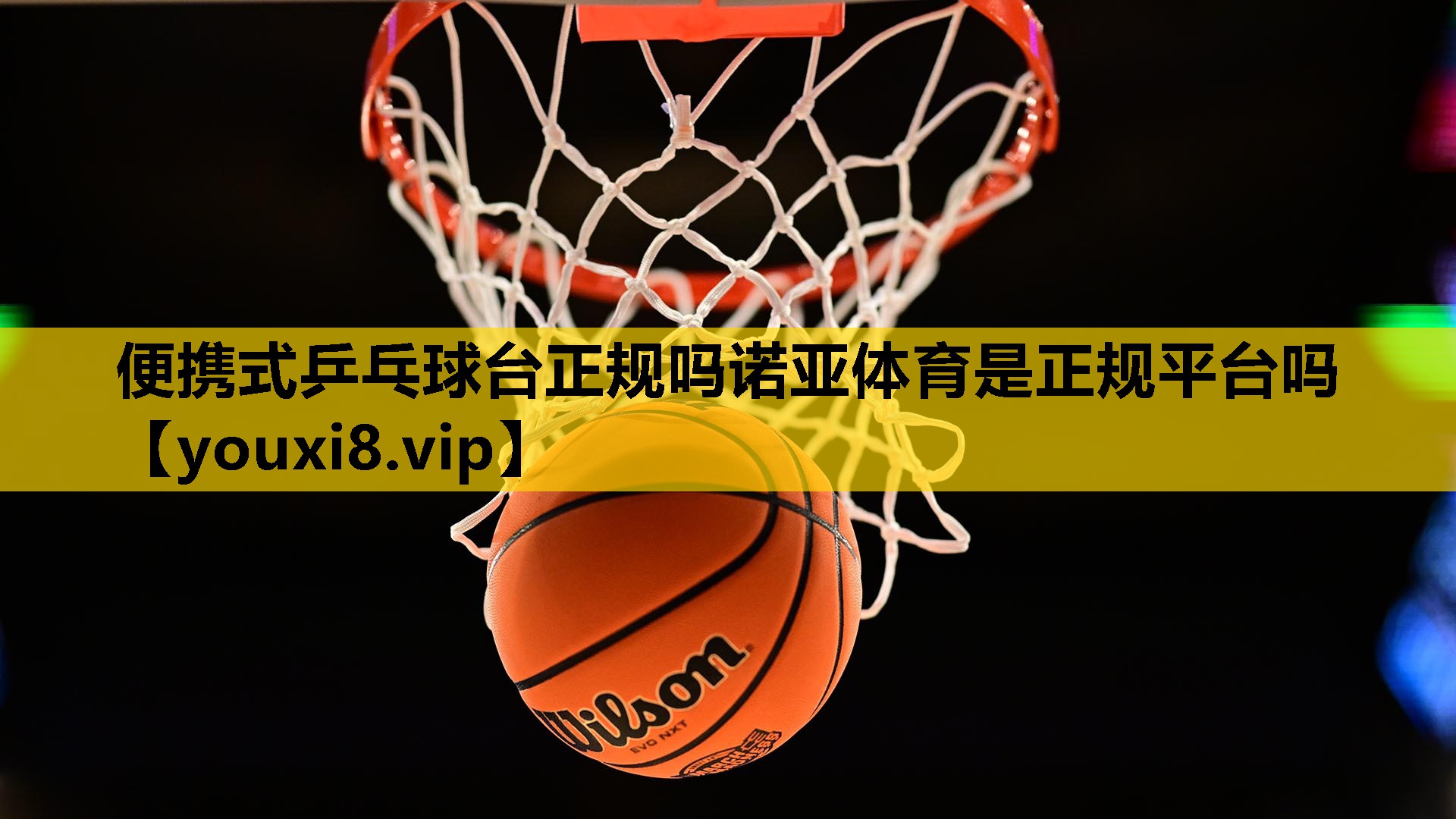 便携式乒乓球台正规吗诺亚体育是正规平台吗