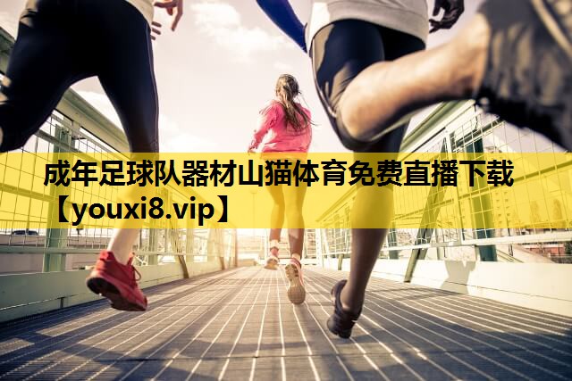 成年足球队器材山猫体育免费直播下载