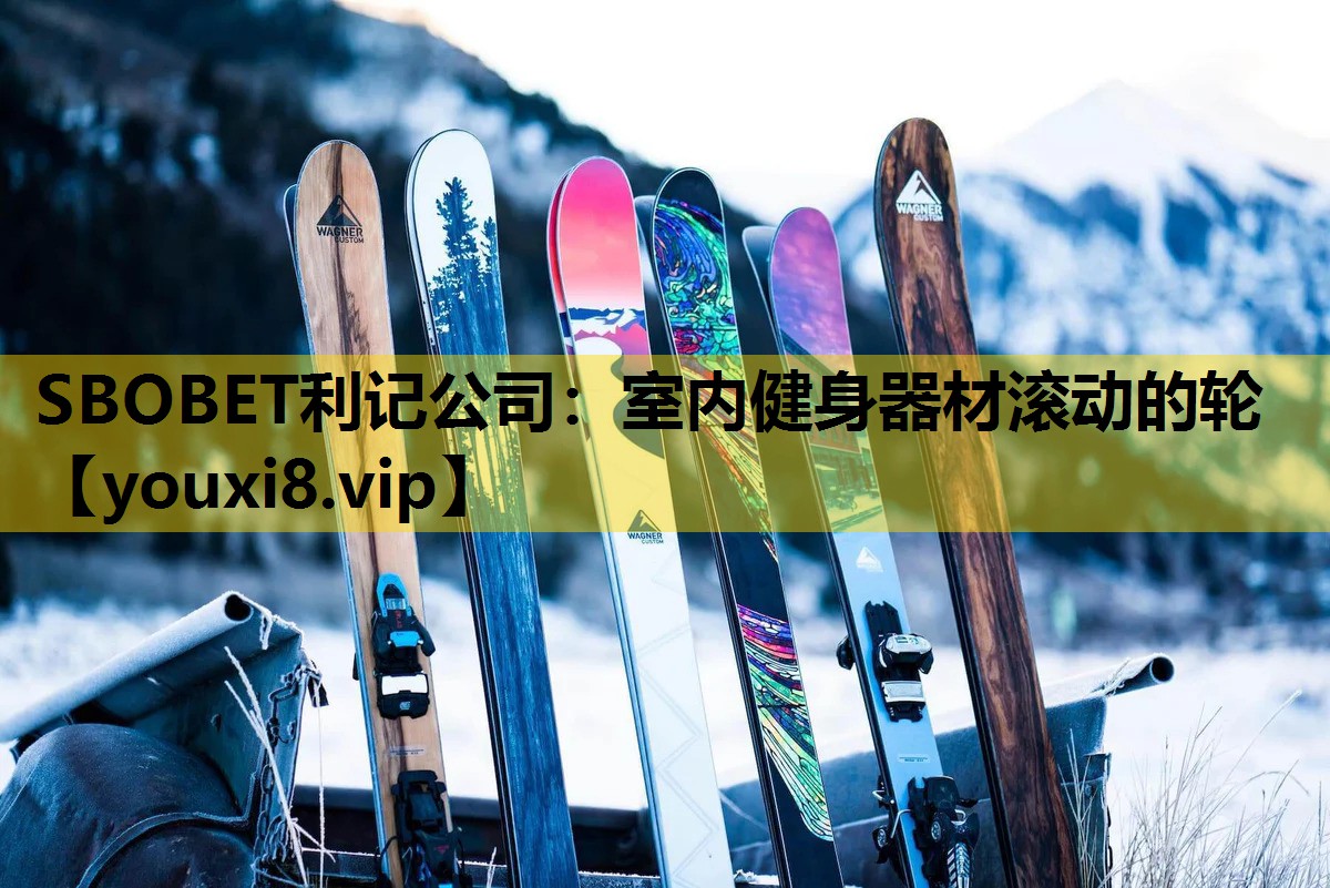 室内健身器材滚动的轮