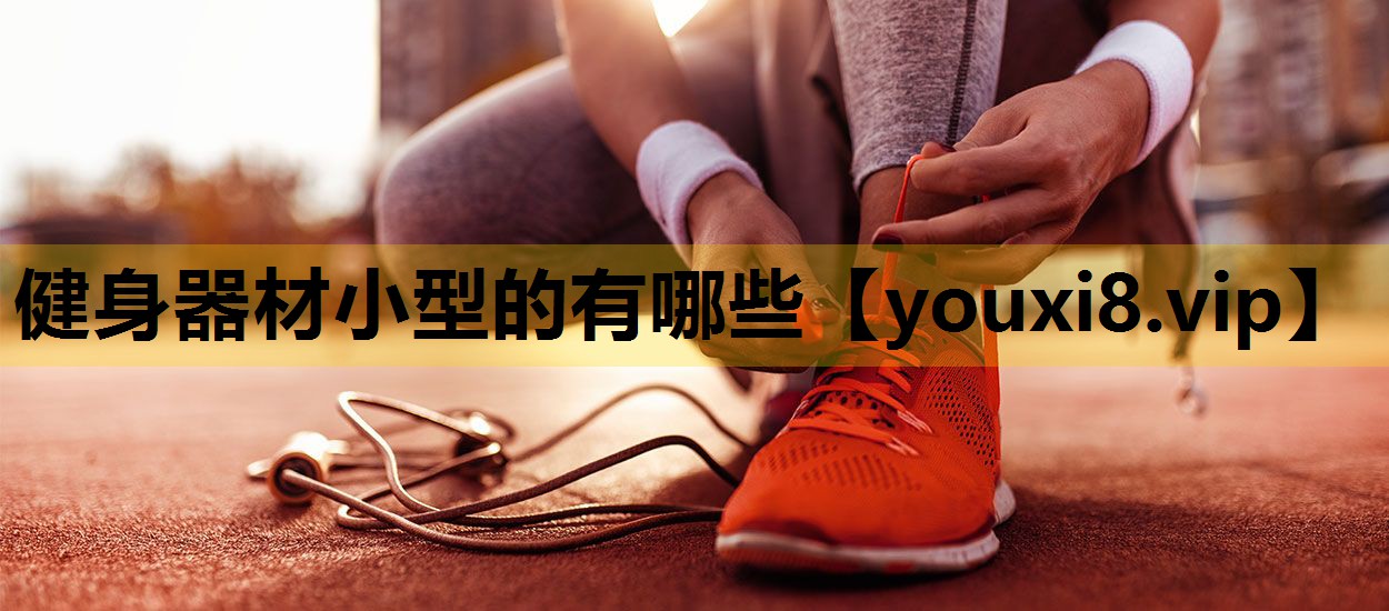 健身器材小型的有哪些