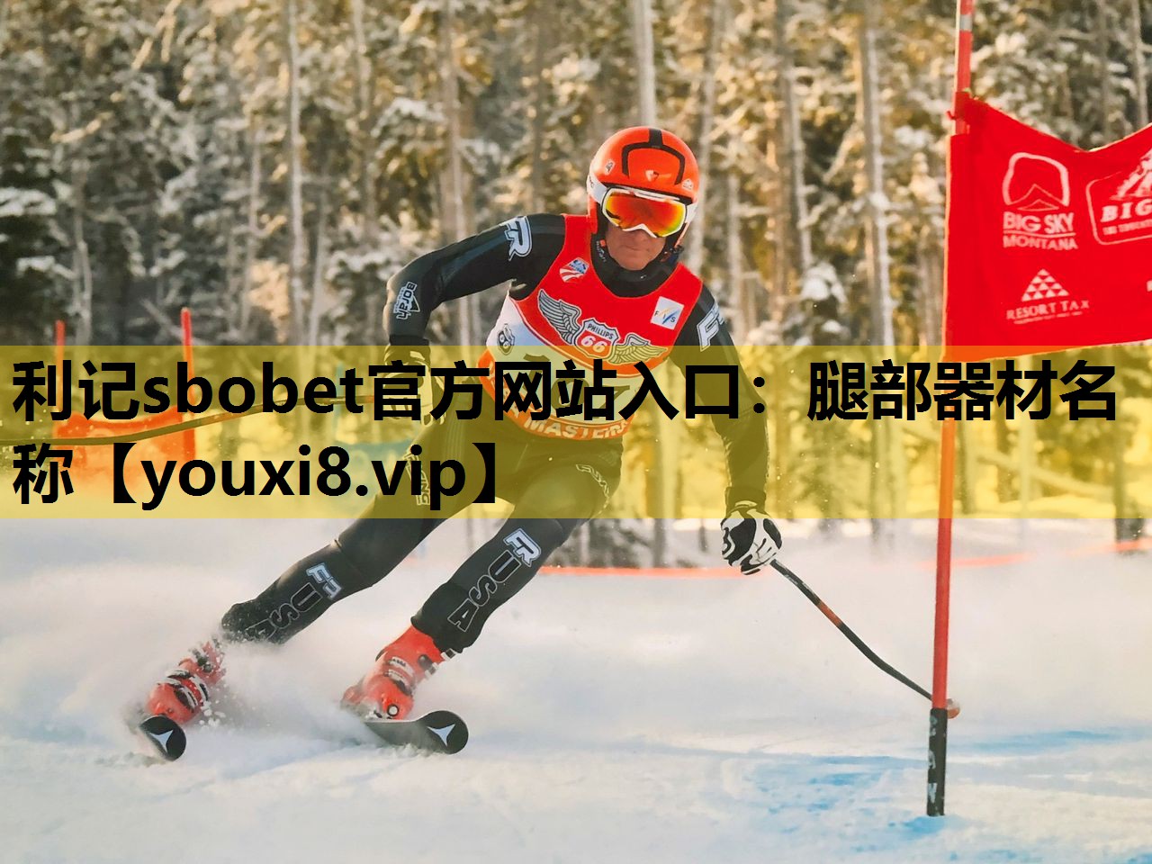 腿部器材名称