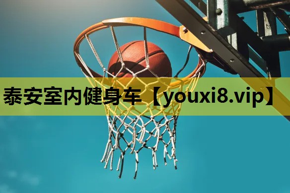 泰安室内健身车