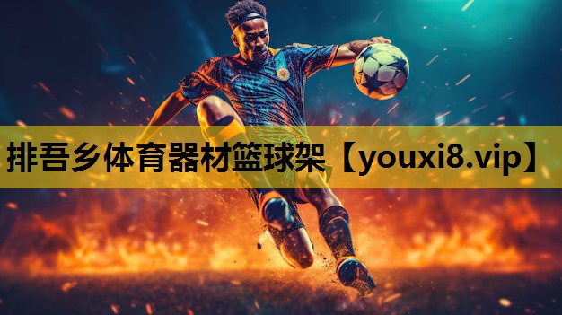 排吾乡体育器材篮球架