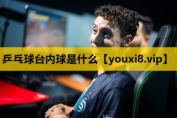 乒乓球台内球是什么
