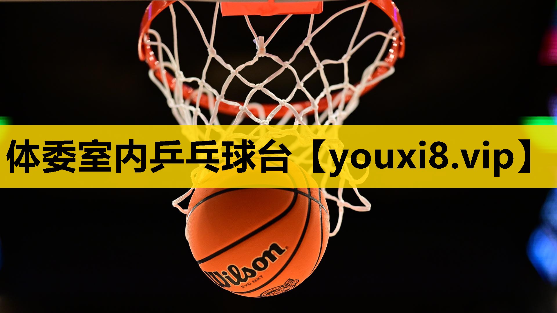 体委室内乒乓球台
