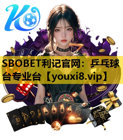 乒乓球台专业台