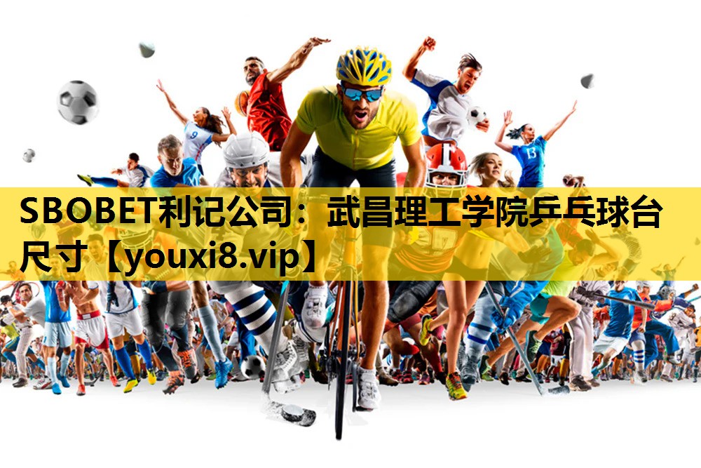 武昌理工学院乒乓球台尺寸