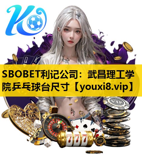 武昌理工学院乒乓球台尺寸