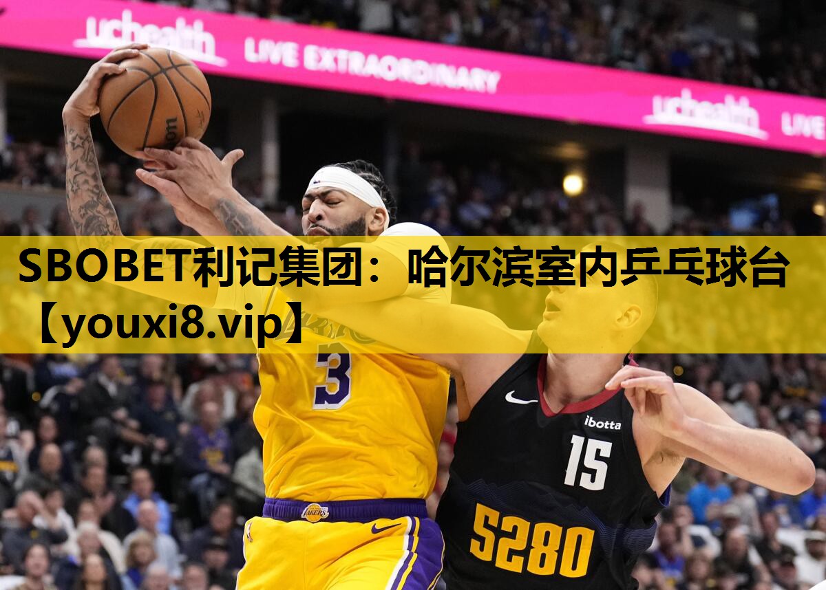 哈尔滨室内乒乓球台