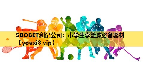 小学生学篮球必备器材