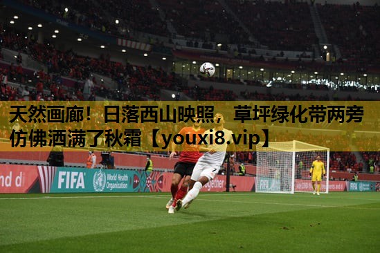 天然画廊！日落西山映照，草坪绿化带两旁仿佛洒满了秋霜