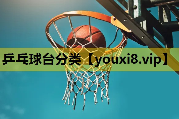 乒乓球台分类