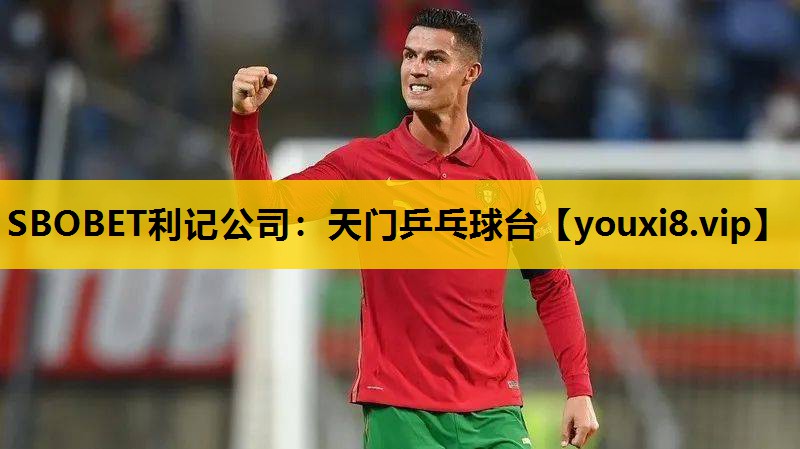 天门乒乓球台